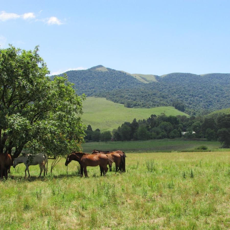 霍维克Karkloof Hideout别墅 外观 照片